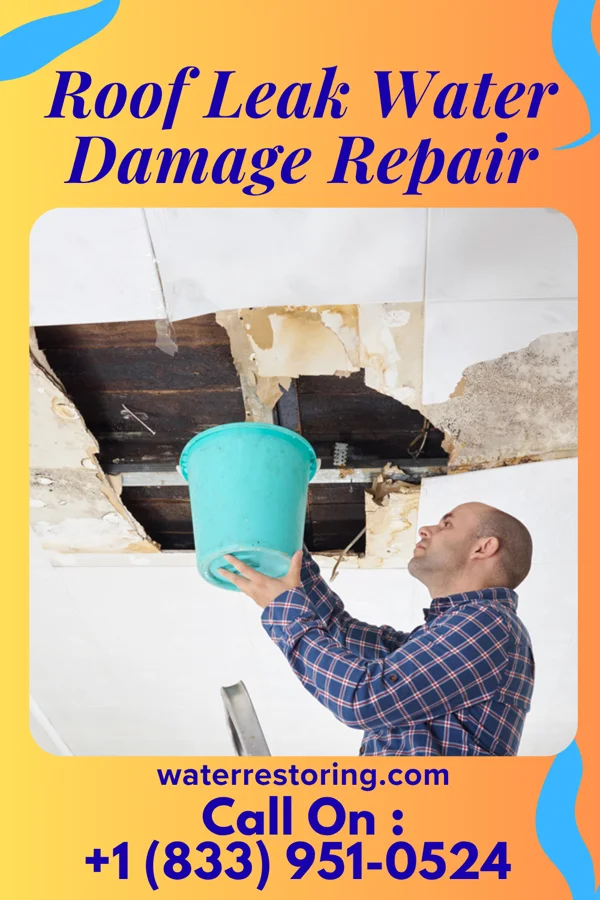 Roof Leak Water Damage Repair in Marston, MO